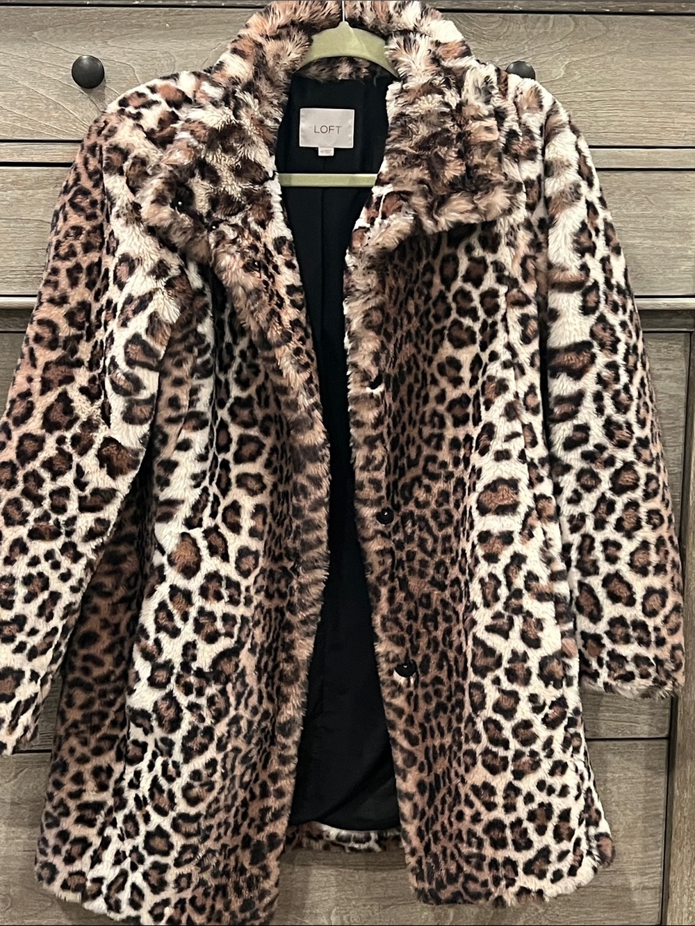 LOFT Leopard-Print Faux Fur Teddy Jacket in Brown & Cream XS